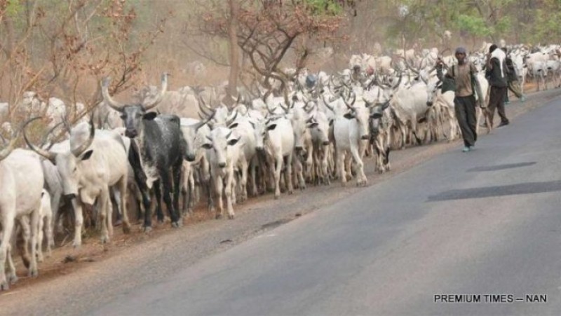 The Fulani menace and Farming in Northern Ghana; A limitation of the ECOWAS protocol on free movement