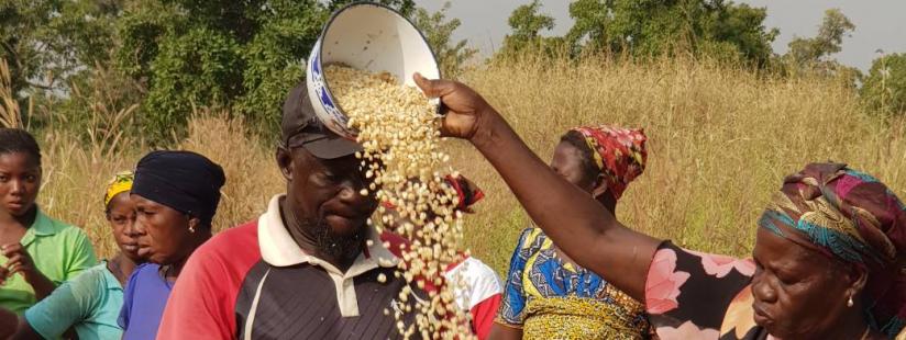 Factors that Ministry of Food and Agriculture must consider for sustainable Agricultural policies